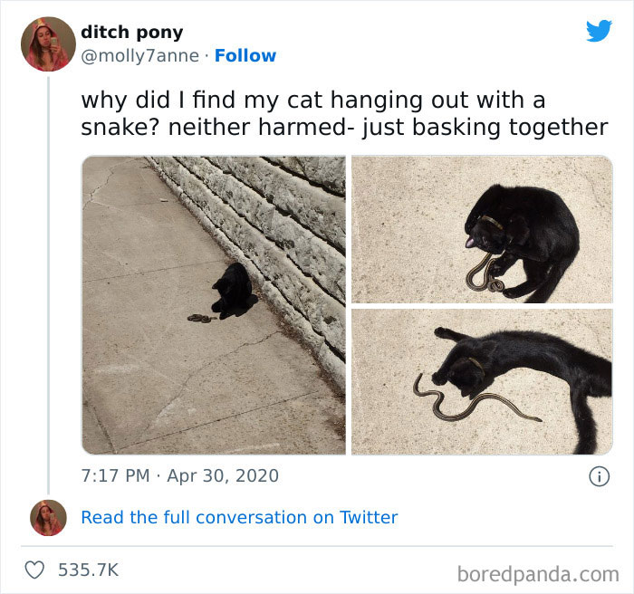 Funny-Best-Worst-Tweets