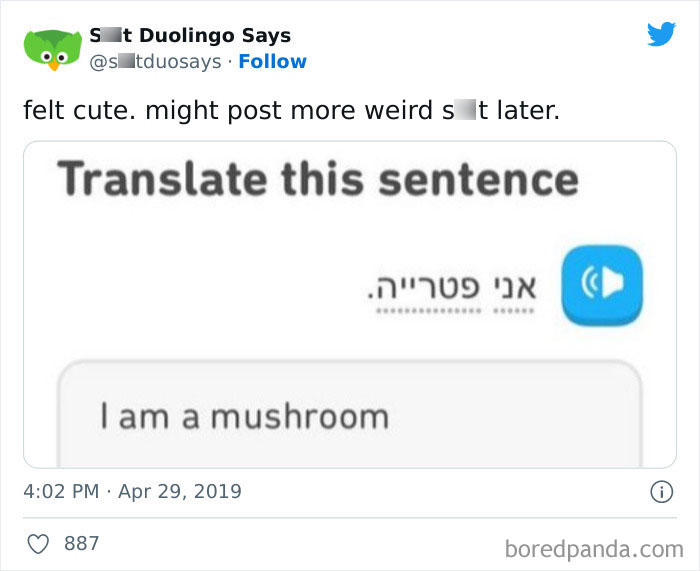 Funny Duolingo Sentences