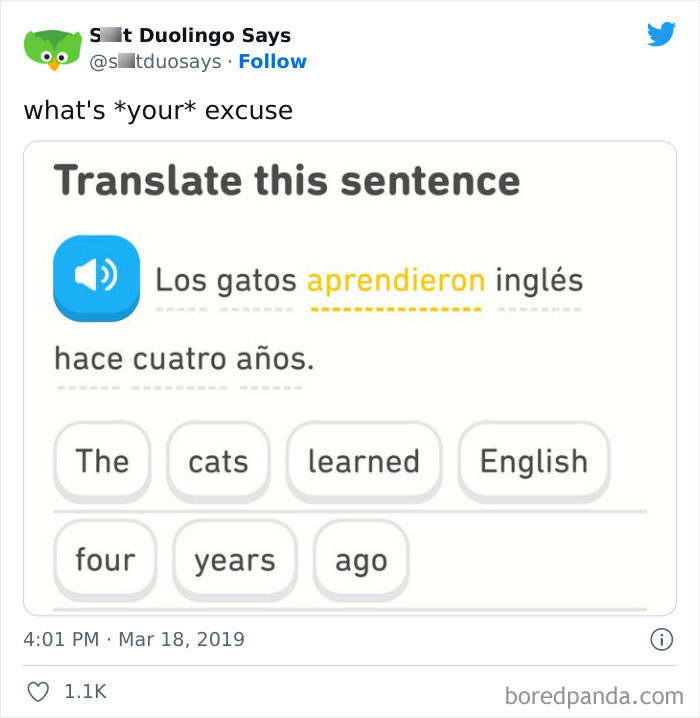 Funny Duolingo Sentences
