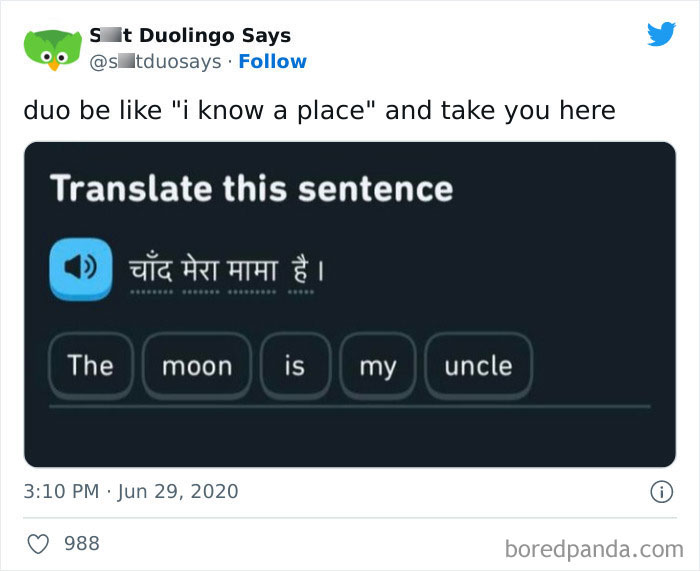 Funny Duolingo Sentences