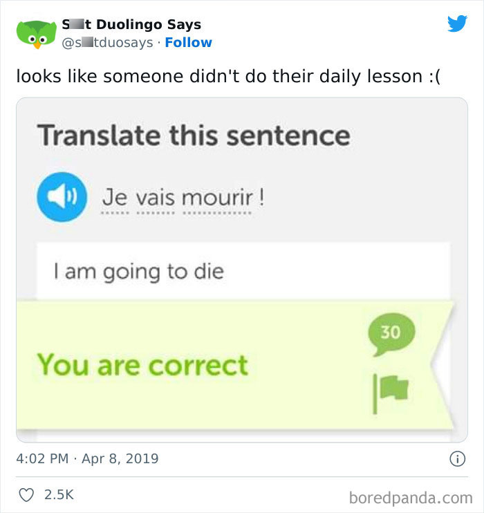 Funny Duolingo Sentences