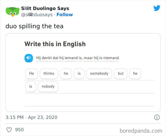 Funny Duolingo Sentences