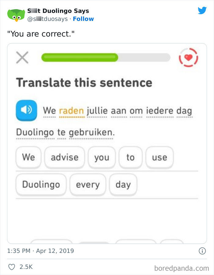Funny Duolingo Sentences