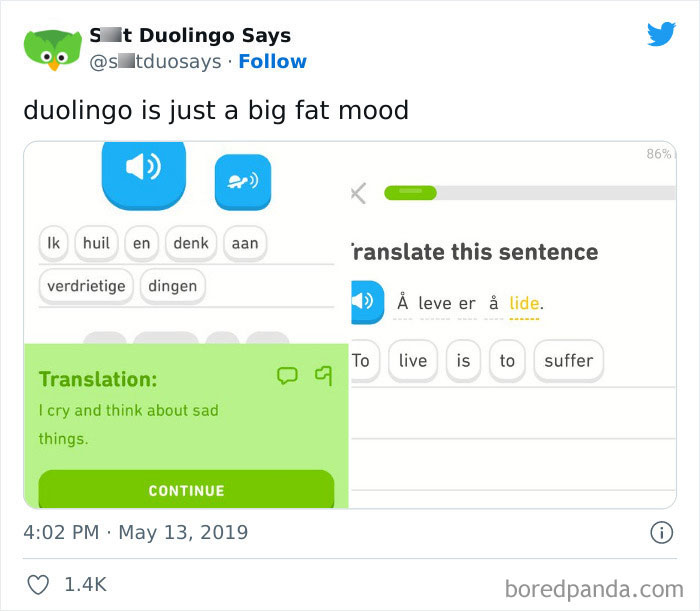 Funny Duolingo Sentences