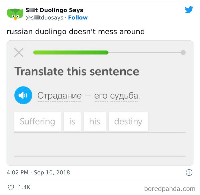 Funny Duolingo Sentences