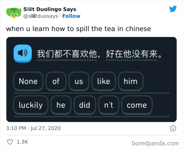 Funny Duolingo Sentences