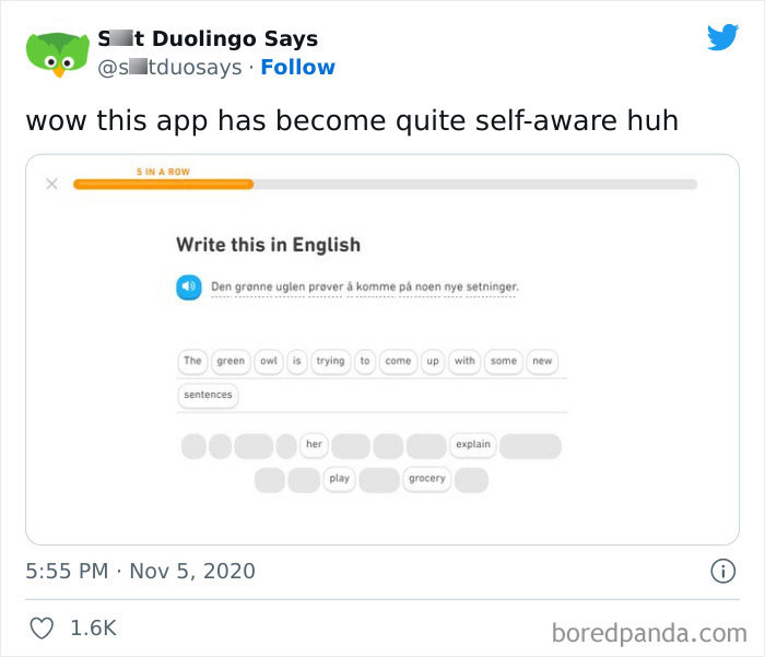 Funny Duolingo Sentences
