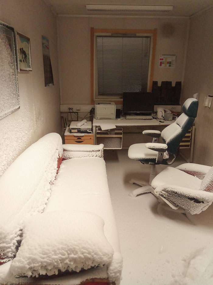 Cuando vives en Svalbard, Noruega, y te olvidas de cerrar la ventana del estudio de trabajo en casa
