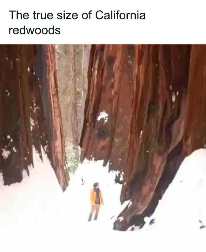 Funny-History-In-Memes