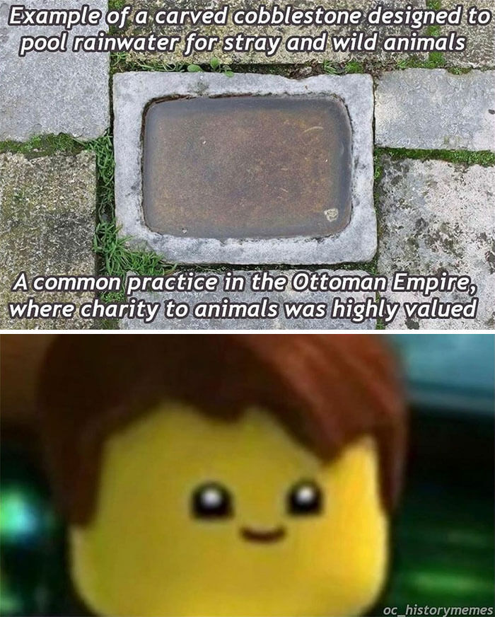 Funny-History-In-Memes