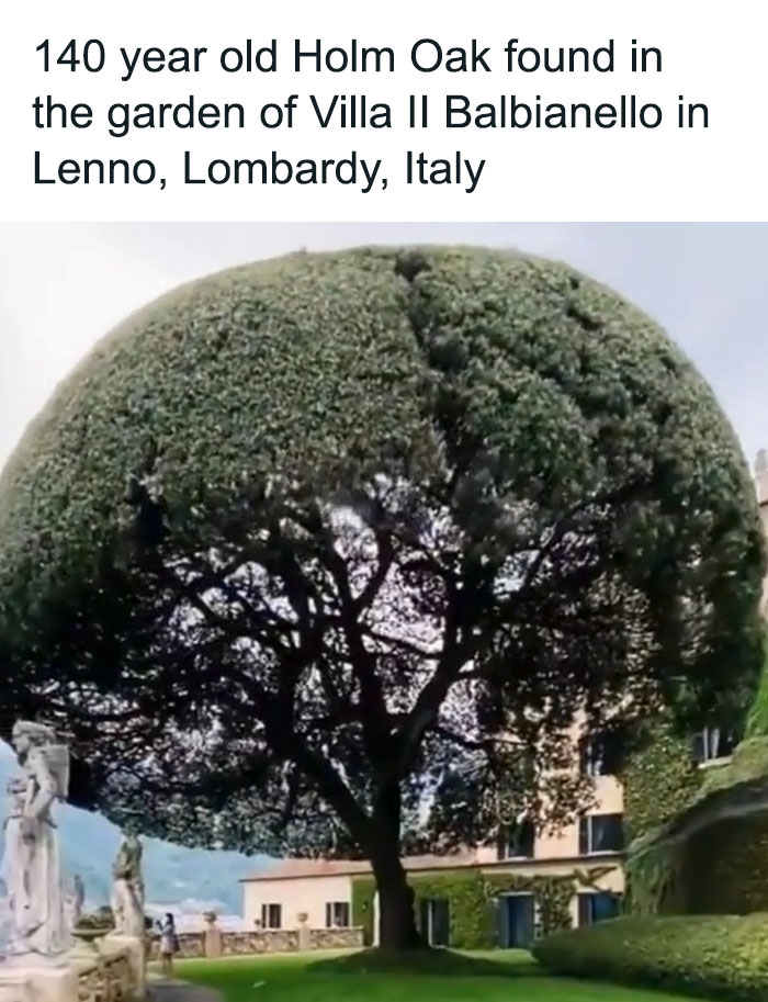 Funny-History-In-Memes