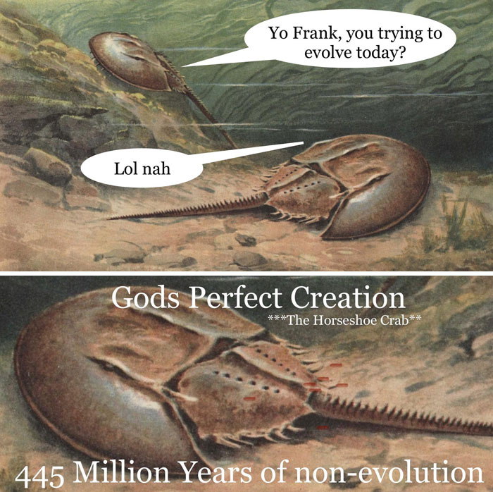 Funny-History-In-Memes