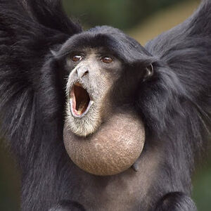 donovangaspard06 avatar