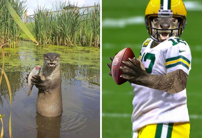 Esta nutria sosteniendo un pez