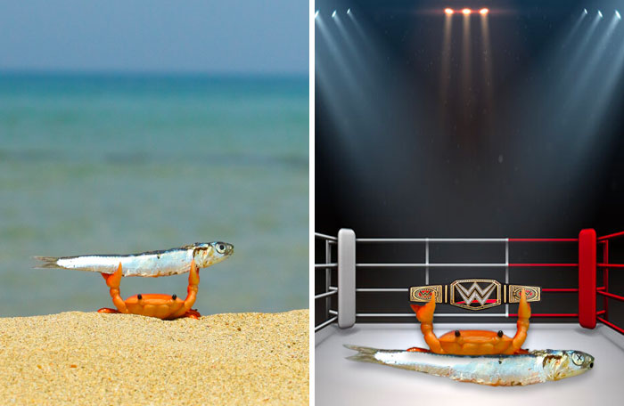 Cangrejo sosteniendo un pez