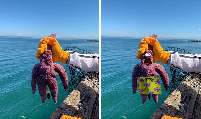 Estrella de mar capturada durante la pesca