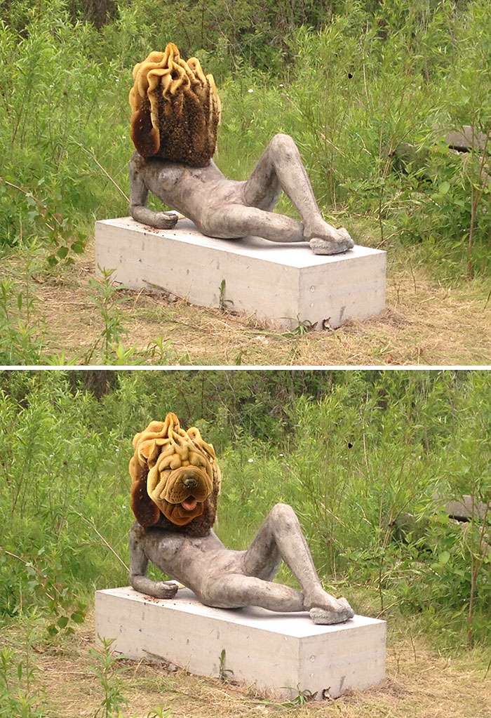 Statue Invaded By Bees