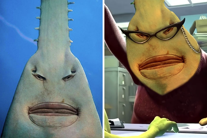 La parte inferior de un pez sierra