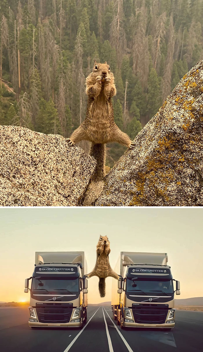 Ardilla a horcajadas en las rocas