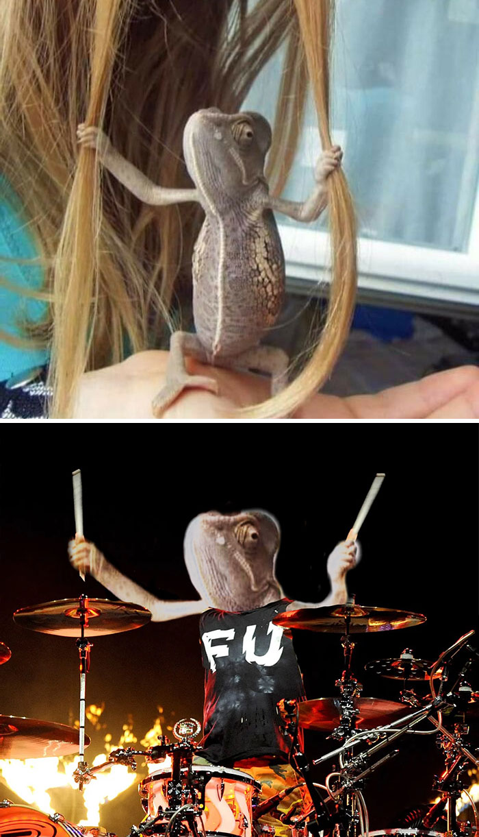 This Lizard Holding Onto A Woman's Hair