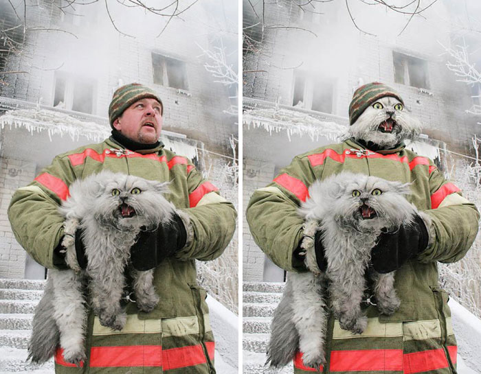 Russian Firefighter Saving A Cat