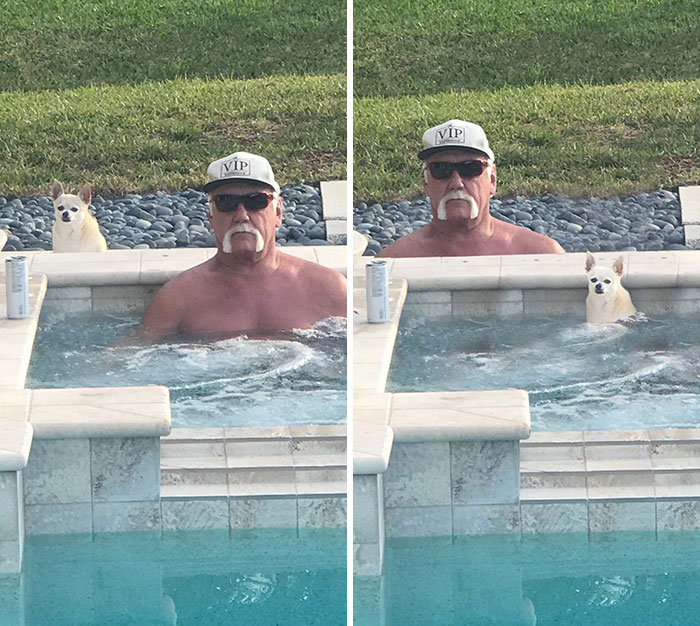 Hulk Hogan & His Dog