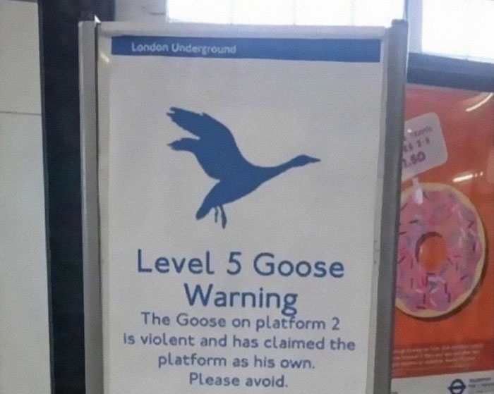 Funny-Weird-Warnings-Disclaimers