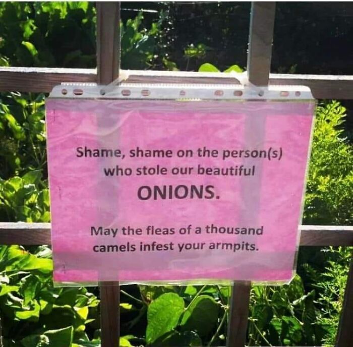 Funny-Weird-Warnings-Disclaimers