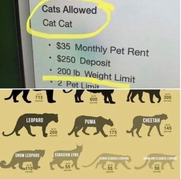 Funny-Weird-Warnings-Disclaimers