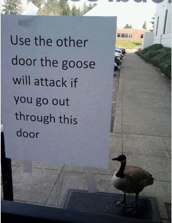 Funny-Weird-Warnings-Disclaimers