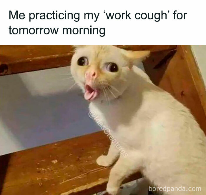 Funny-Work-Week-Memes