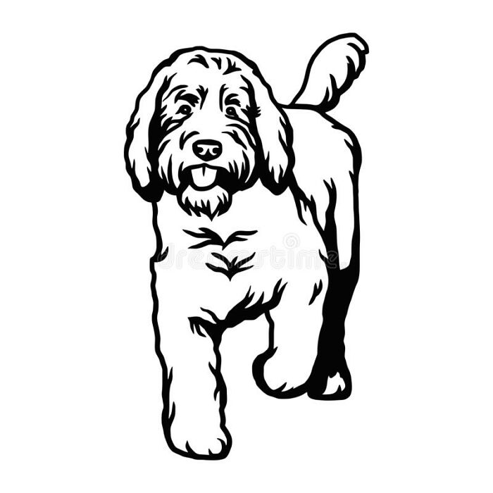 I Had Some Nice Grass I Was Growing But My Dog Keeps Messing It Up. (Digging Laying Down On It, Etc)