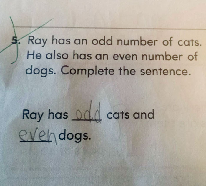 My Son Came Home With This. Looks Correct To Me