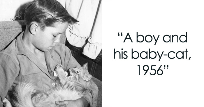 30 Of The Best Photos Shared By This Twitter Account That Collects Historic Photographs Of Cats With Their Stories