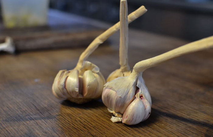 30 Doctors Share The Stupidest Thing They've Heard From People Who 'Read It On The Internet'