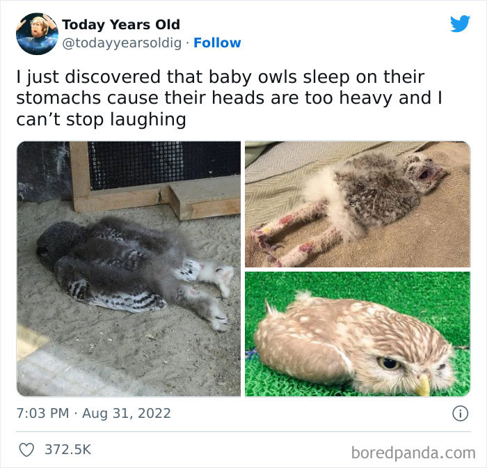 I-Was-Today-Years-Old-When-I-Learned