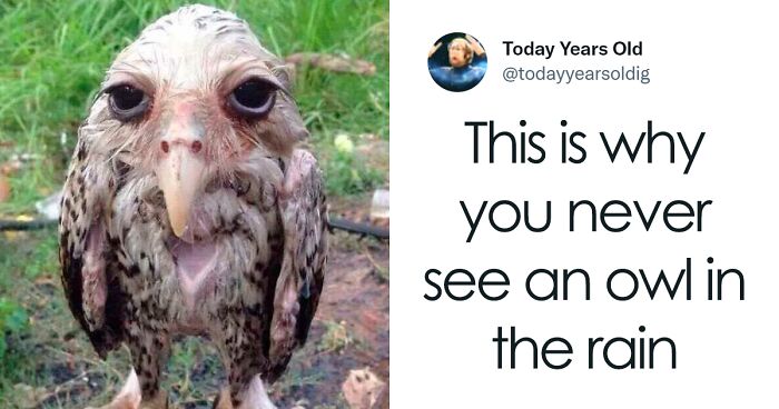 The ‘Today Years Old’ Social Media Project Shares Cool Facts, And Here Are 50 Of The Very Best Ones