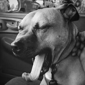 creaturecargeaux avatar