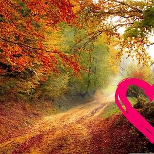 daviswanda800 avatar