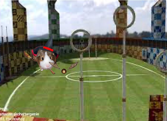 Jerry The Guinea Pig’s Adventures Jerry The Guinea Pig’s Adventures