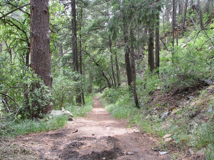 My Dad And I Were Talking Once. He Said Every Dirt Road I See I Want To Take. I Agreed