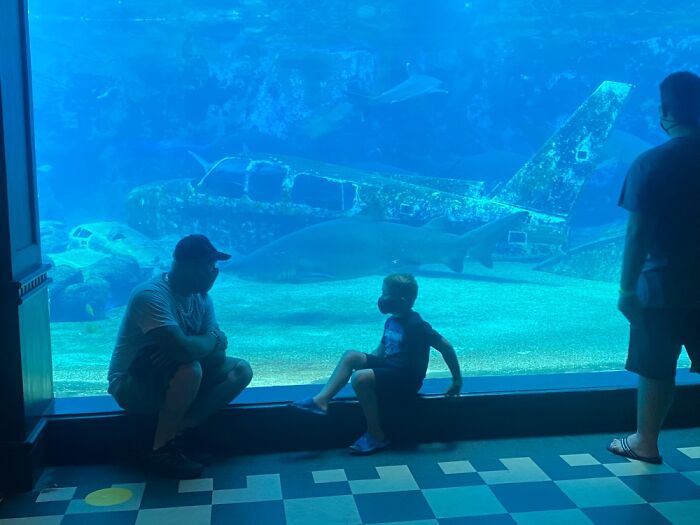 There Is Nothing To Be Afraid Of Son