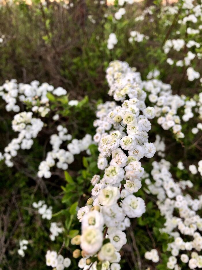 I Have Different Focuses On This One, But I Think This One Is The Best