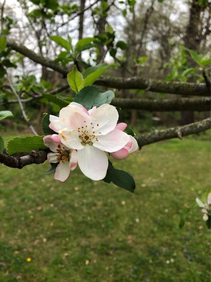 I’ve Loved This One For So Long, And I Still Have No Clue What It Is