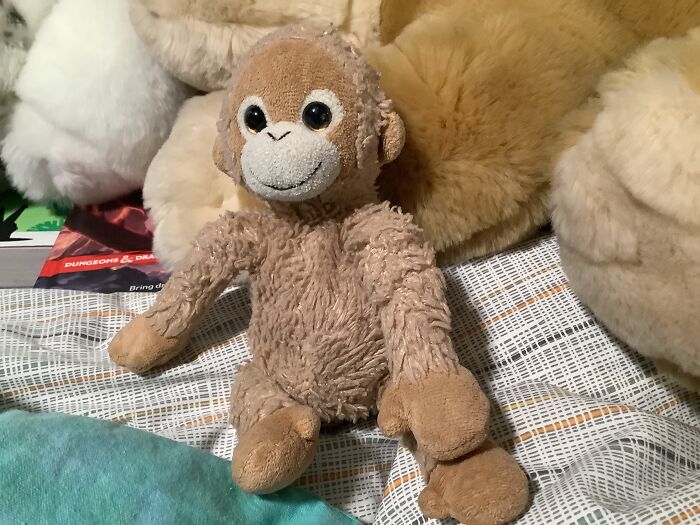 Monkey Older Than I Am