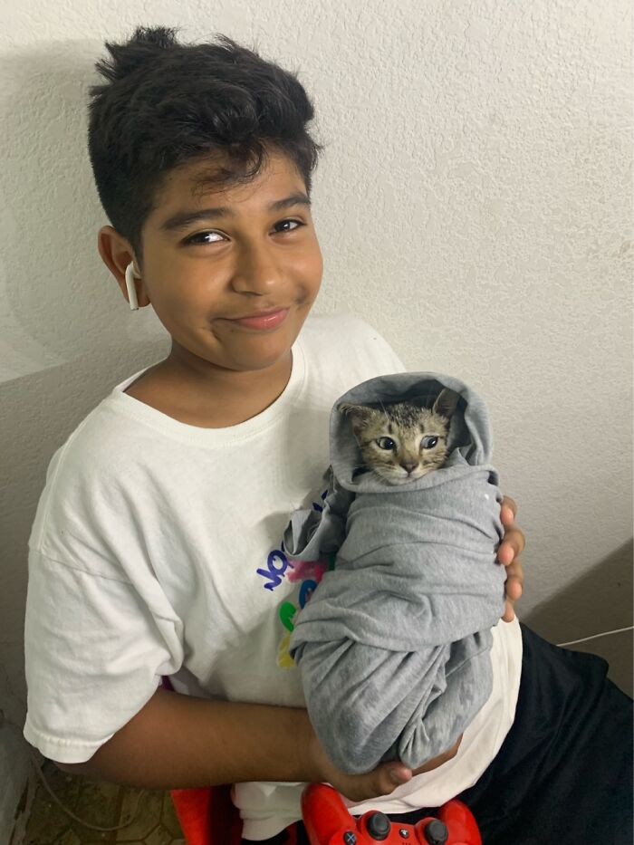 My Son And Stripes, She Disappeared From Our Yard Days Later