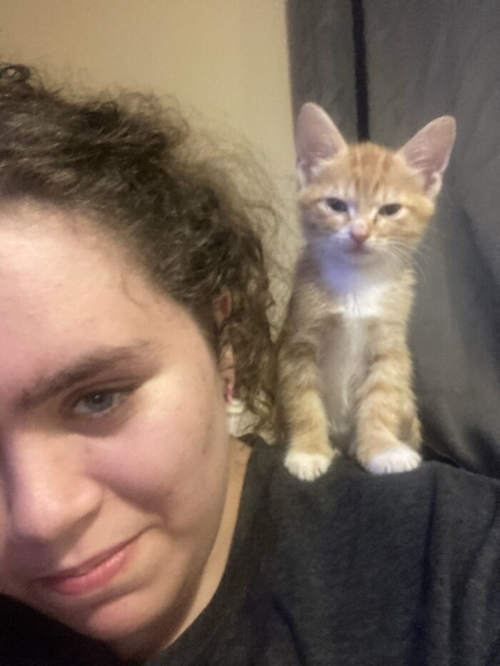 He’s A Parrot Cat Lol