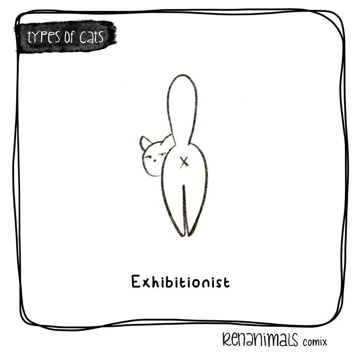 Exhibitionist
