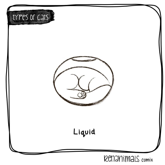 Liquid