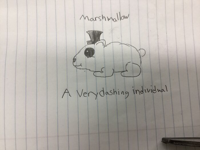 Hamter (I’m Sorry I’ve Never Draw An Hamster Before)